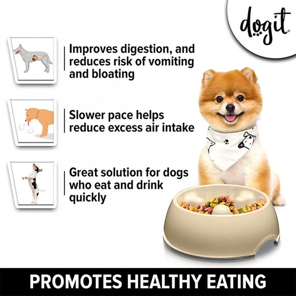 Go Slow Anti-Gulping Dog Bowl, Medium - Picture 1 of 9